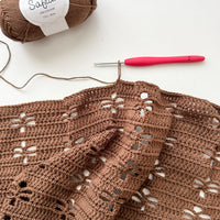 Eyelet Lace Shawl: Yarn & Free Pattern Package